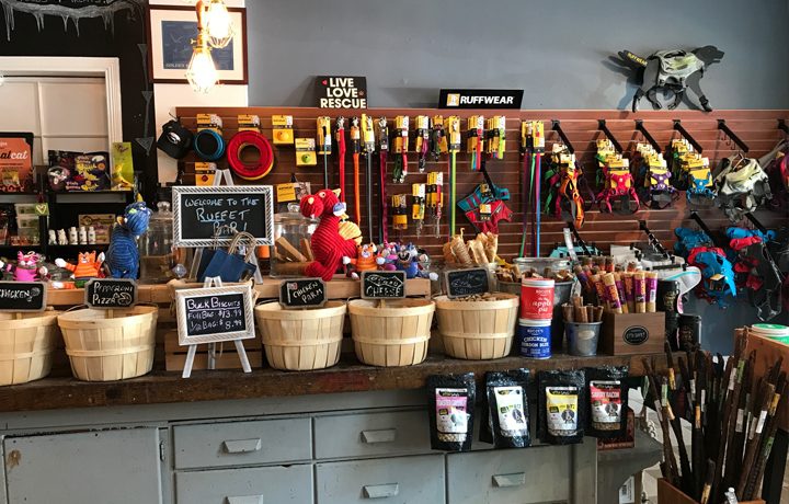 Dog shop store downtown