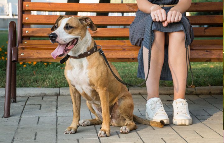 training to sit